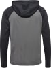 Hummel Trainingsjacke "Lead 2.0 Zip Hoodie" in Grau