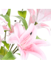 Beliani Kunstpflanze LILIARIUM in Rosa/Grün - (W) 45 x (H) 85 x (L) 45 cm