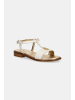 Elisabetta Franchi Sneaker 10658984001878 Creme