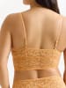 Erlich Textil  ICONIC LACE BRALETTE TOP in aprikose