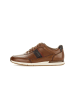 Pius Gabor Sneaker low in braun