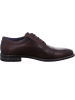 Bugatti Business Schuh Amros in Braun