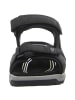 Camel Active Sandale in schwarz