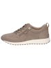 Caprice Sneaker in MUD SUEDE