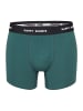 Happy Shorts Retro Pants Jersey in Leaves