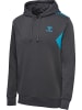 Hummel Hummel Kapuzenpullover Hmlstaltic Multisport Herren in MAGNET