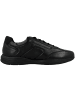 Geox Sneaker low U Spherica EC2 C in schwarz