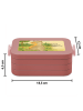 Mr. & Mrs. Panda MEPAL Bentobox Otter Bauch Design mit Spruch in Rot Pastell