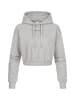 Champion Champion Kapuzenpullover in grey