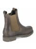 PANAMA JACK Chelsea Boots FRANCESCA IGLOO in grün