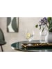 Villeroy & Boch 20er Set Wein- und Sektgläser La Divina transparent in transparent
