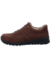 Finn Comfort Sneaker in braun