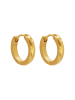 Steel_Art Creolen Damen Elisa goldfarben in goldfarben