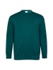 S. Oliver Sweatshirt für Herren in blau