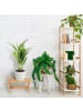 relaxdays Bambushocker in Natur - (B)40 x (H)20,5 x (T)22 cm
