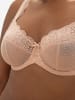 SugarShape BH LACE in cappuccino