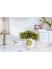 Villeroy & Boch 6er Set Henkelbecher Good Luck With Love 290 ml in weiß-grün