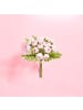 Atmosphera Créateur d'intérieur Blumenstrauß mit Kunstblumen, 18 rosa Pfingstrosen in Rosa, 30 cm