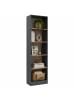 VCM  Bücherregal Dilos 183 x 52 cm für Aktenordner in Anthrazit / Honig-Eiche