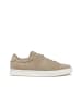 Geox Sneaker in beige