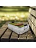 Mr. & Mrs. Panda Bentobox Igel Blumen Design ohne Spruch in Weiß