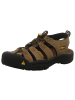 Keen Schnürschuh in braun