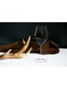 RIEDEL Glas 2er Set Syrah Shiraz Gläser inkl. Poliertuch Performance 631 ml in transparent