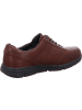 Solidus Sneaker Low in braun