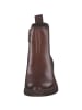 Tamaris Stiefeletten in muscat