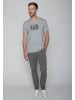 GreenBomb T-Shirt Animal Stay Grounded in Heidekraut Grau