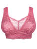 SugarShape Bralette ELIANA in roseberry