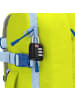 Cabinzero Adventure Cabin Bag ADV 32L Rucksack 46 cm in mojito lime