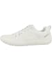 Camel Active Sneaker low 54ILN10 in weiss