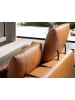 Angel Cerdá Sofa 6207 in Braun / Schwarz