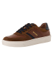 Marco Tozzi MT SPORT Sneaker in cognac