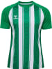 Hummel T-Shirt "Match Striped Jersey S/S" in Grün