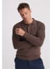 Felix Hardy Pullover in braun