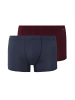Hanro Panty Cotton Essentials in barolo / ombre blue