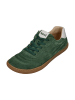 KOEL Sneaker Low DUSTIN SUEDE  in braun