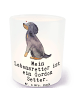 Mr. & Mrs. Panda Stimmungslicht Gordon Setter Lebensretter mit S... in Transparent