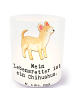Mr. & Mrs. Panda Windlicht Chihuahua Lebensretter mit Spruch in Transparent