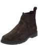 Geox Chelsea Boots in coffee