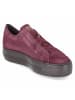 Paul Green Schnürhalbschuh in red