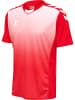 Hummel Hummel T-Shirt Hmlcore Multisport Herren Atmungsaktiv Feuchtigkeitsabsorbierenden in TRUE RED