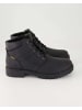 Camel Active Stiefeletten in Schwarz