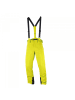 SALOMON Skihose ICEMANIA Pant M in Gelb