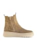 Gabor Chelsea Boots in Beige