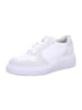 Paul Green Schnürschuh in milk