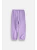 Coccodrillo Jogginghose jogger in violett