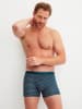 Calida New Boxer, 3er-Pack in lilas